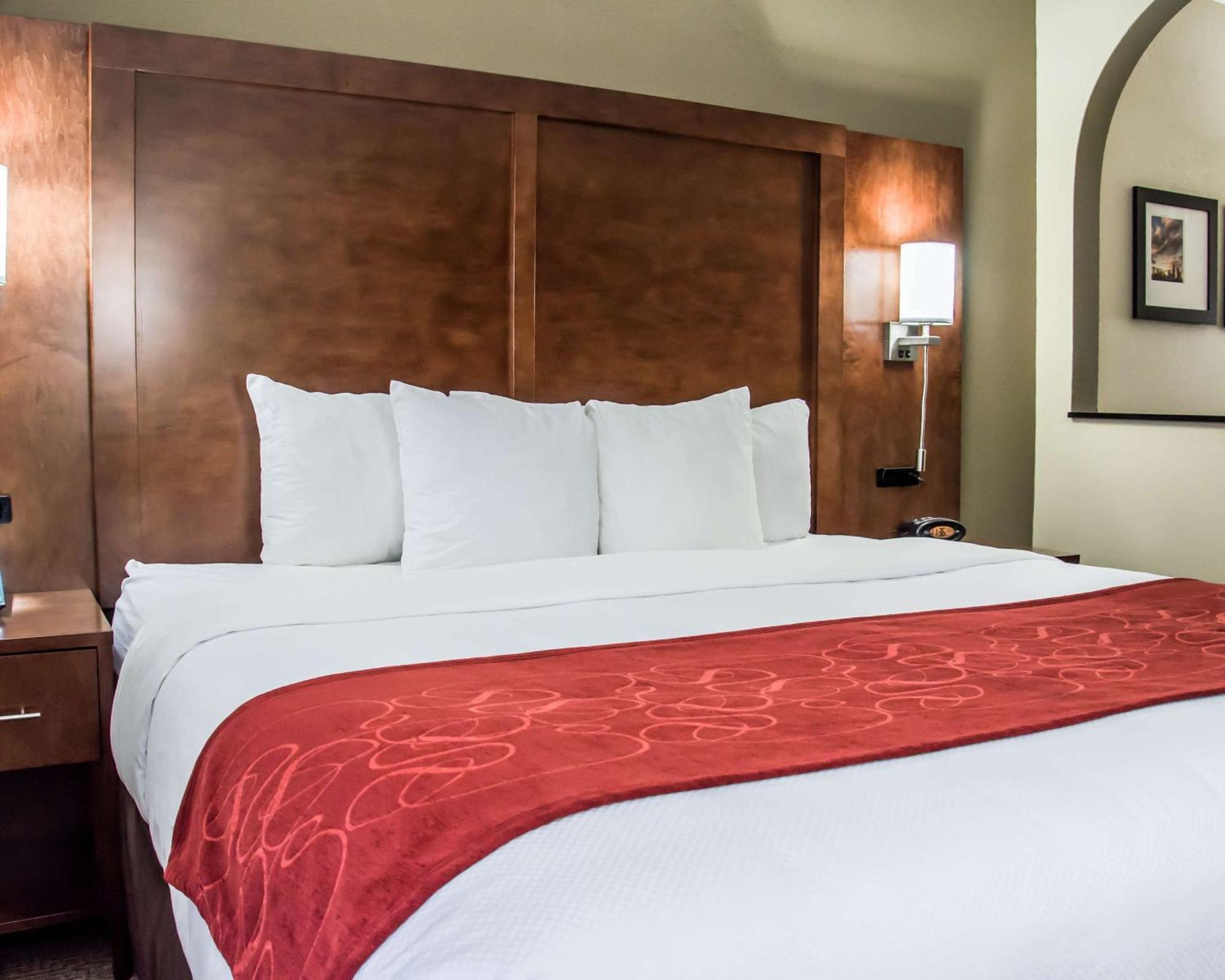Comfort Suites University - Research Park Charlotte Esterno foto